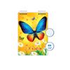 Блокнот спираль 48л 68*98, Бабочка