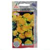Кальцеолярия Данти F1 Йеллоу виз Спотс 7шт*др