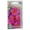 Семена Портулак, Сансикэ  Лайт Пинк, 5шт.