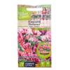 Цветы Годеция Рембрандт/Сем Алт/цп 0,2 гр. Ваш яркий балкон