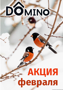 акция месяца